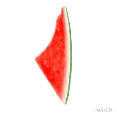 SHAMILA profile