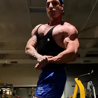 Shane Ryan🦍Online Trainer profile