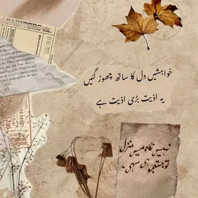 Sharib Ansari ๐๏ธ | Voice Over Artist profile