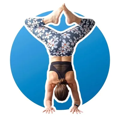 Sharki Yoga profile