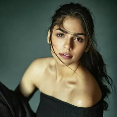 Sharmin Segal Mehta profile