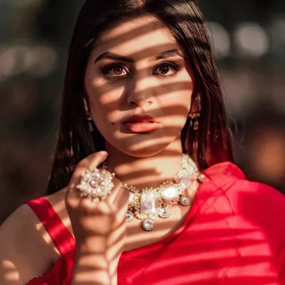 Dr. Shatakshi Arya Mehta profile