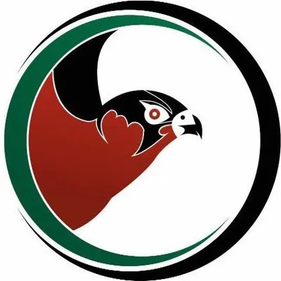 Ahmed Bin Butti profile