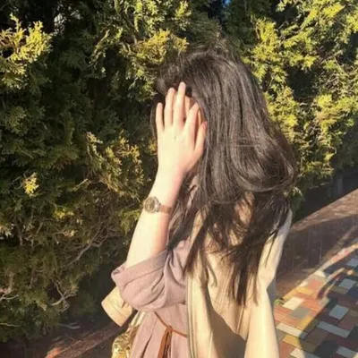 profile