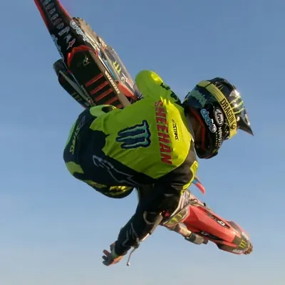 Josh Sheehan profile