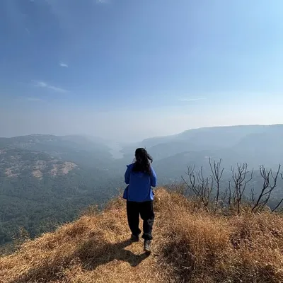 Sheetal Singh profile