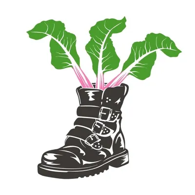 She Grows Veg Ltd profile