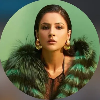 shehnaaz gill profile