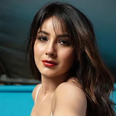 Shehnaaz Gill profile