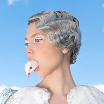 Ellen Sheidlin profile