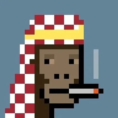 Sheikh Punks profile