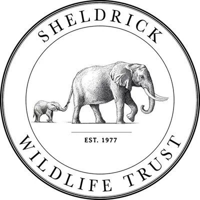 Sheldrick Wildlife Trust profile