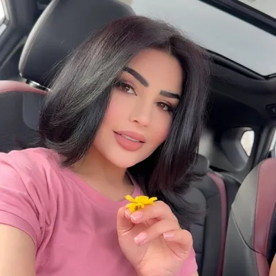 shene hoshyar شێنێ هوشیار 🩸 profile