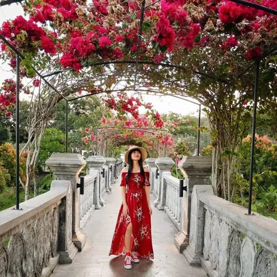 Sherlie citra profile