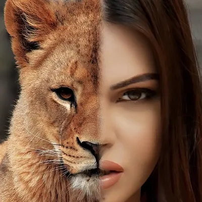 Sherlyn Chopra profile
