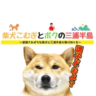 柴犬こむぎとボクの三浦半島 profile