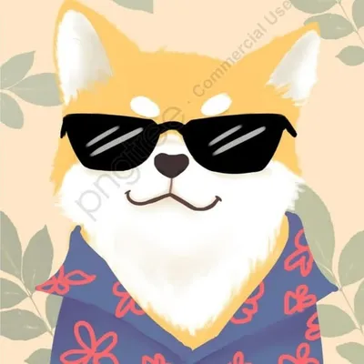 SHIBA BCN profile