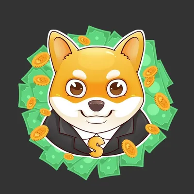 Shiba Inu Billionaire profile