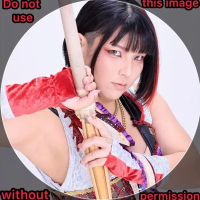 Hikaru Shida profile