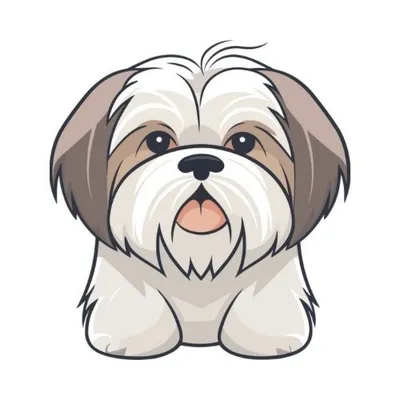Shih Tzu profile