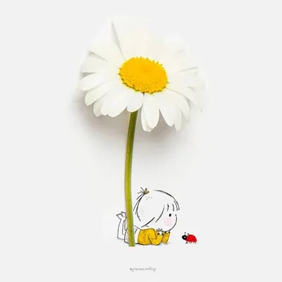 ๐ค profile