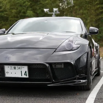 Shin-1 profile