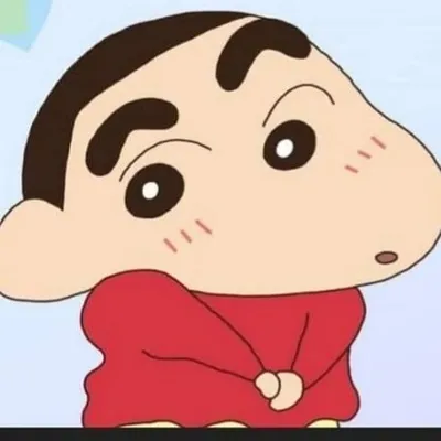 ❤️shinchan lovers follow❤️ profile