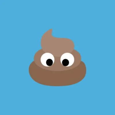 shitfragen profile