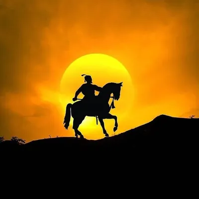 छत्रपती श्री शिवाजी राजे भोसले profile