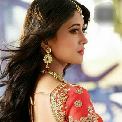 profile