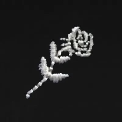 shlohmo profile