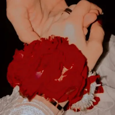 ✨شعيب✨ profile