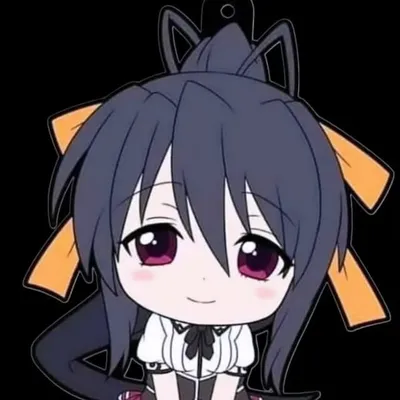 Akeno-sama | 10k profile