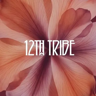 12TH TRIBE profile