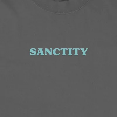 Sanctity profile