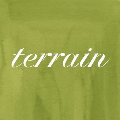 Terrain profile