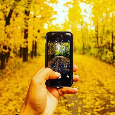 PhotoGalaxy profile