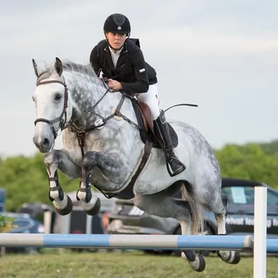 MARIA MOLS - SHOWJUMPER ๐ด๐ profile