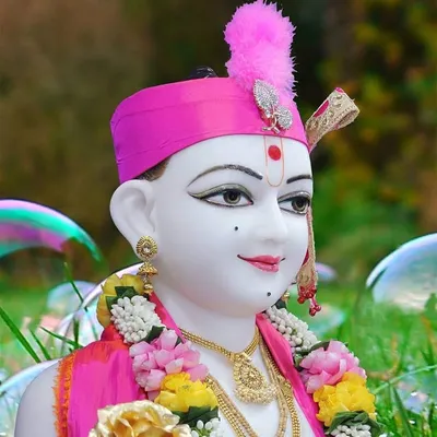 🙇📿રુપાળા ઘનશ્યામ મહારાજ📿🙇 profile