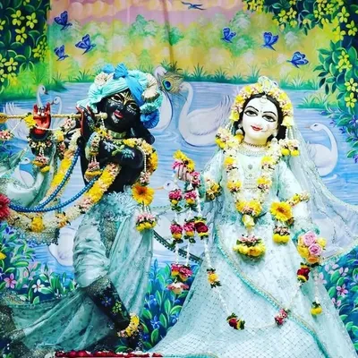 Radhe Krishna💕💕 profile