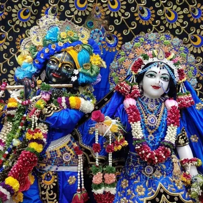 🦚• राधाकृष्णाप्रेमी •🦚 profile