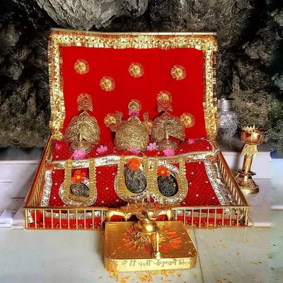 Shri Mata Vaishno Devi profile
