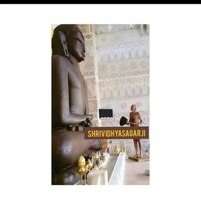 Shri Vidhyasagar Ji profile