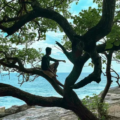 Aashish Mahendran profile