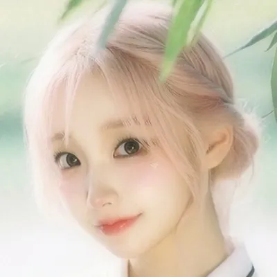 Lim sieun profile