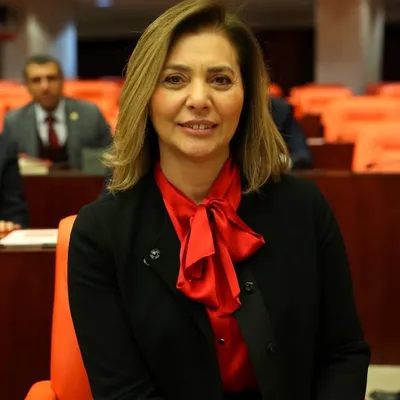 Ayşe Sibel Ersoy Büyükiz profile