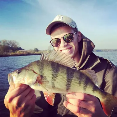 Sid_Fishious profile