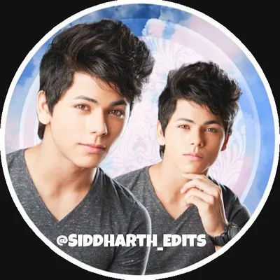 Siddharth Nigam Team🌸 profile