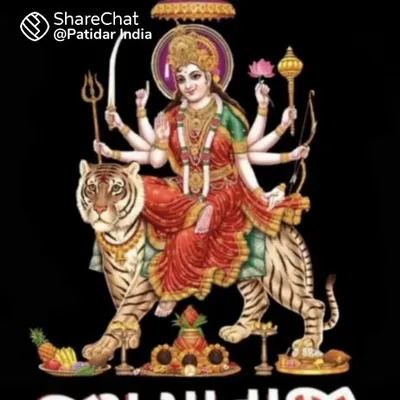 Siddhesh Panchal profile