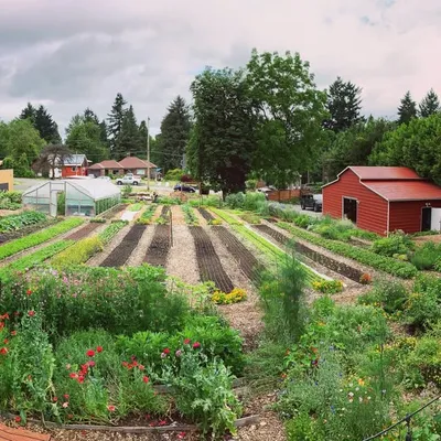 Side Yard Farm & Kitchen profile